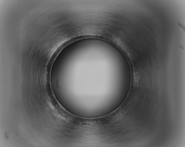 X0000103440580200809191727