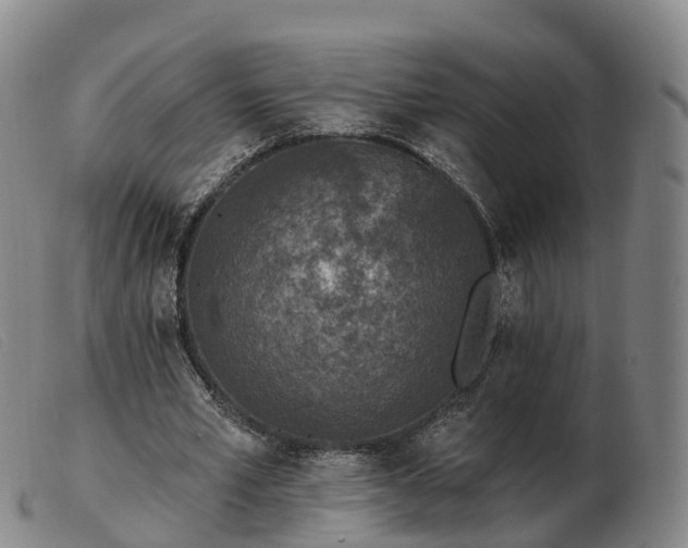 X0000103440581200809191727