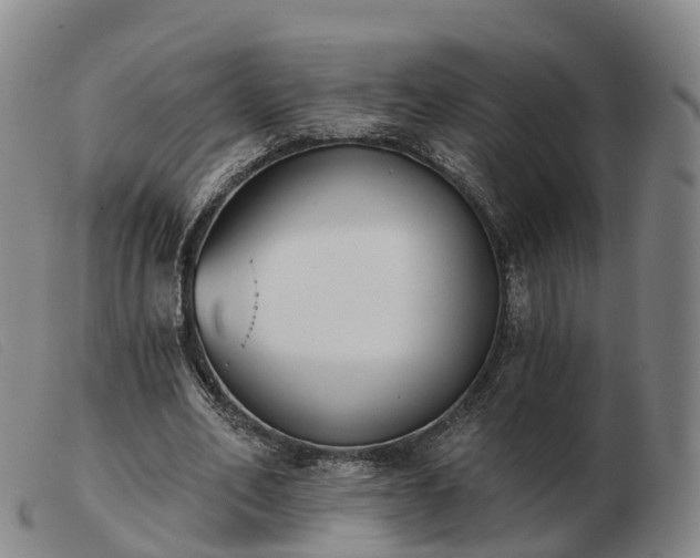 X0000103440582200809191727