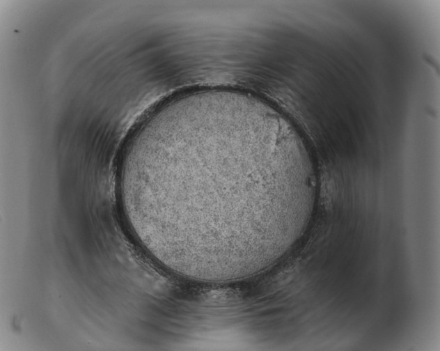 X0000103440584200809191727