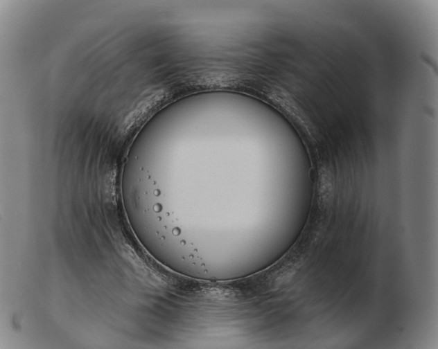 X0000103440585200809191727