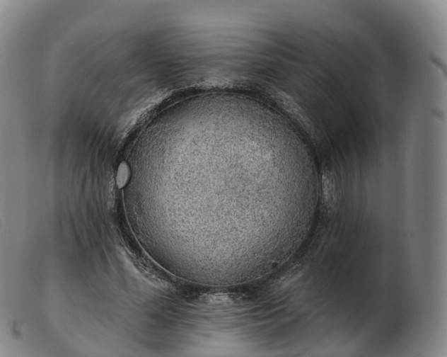X0000103440588200809191727