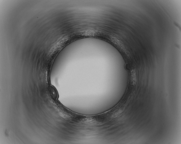 X0000103440589200809191726