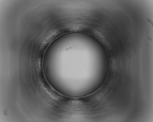 X0000103440590200809191726