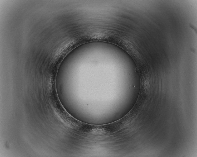 X0000103440591200809191726