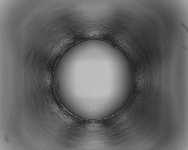 X0000103440593200809191726