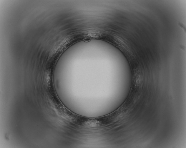X0000103440595200809191726