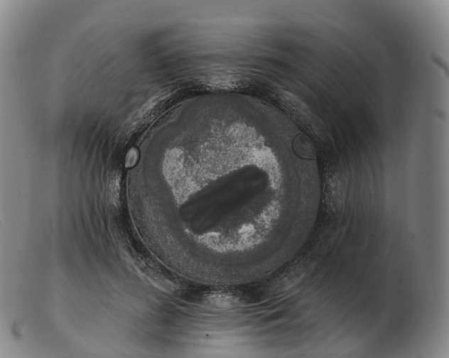 X0000103440596200809191726
