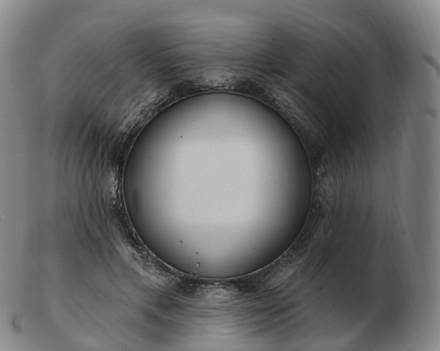 X0000103440597200809191726