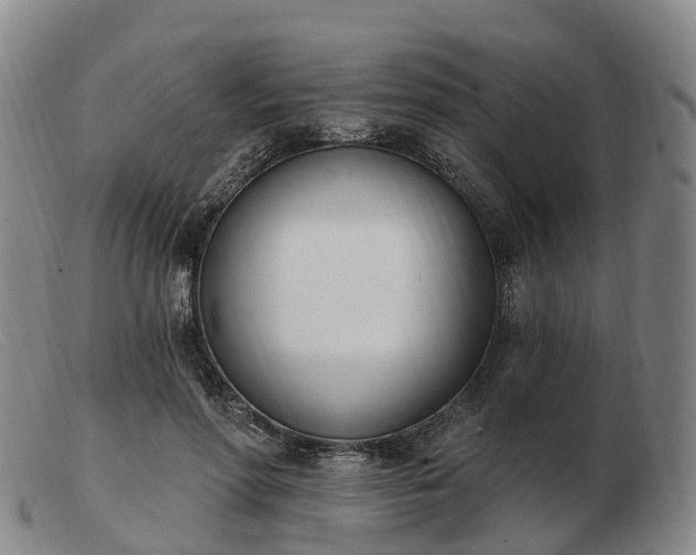 X0000103440598200809191726