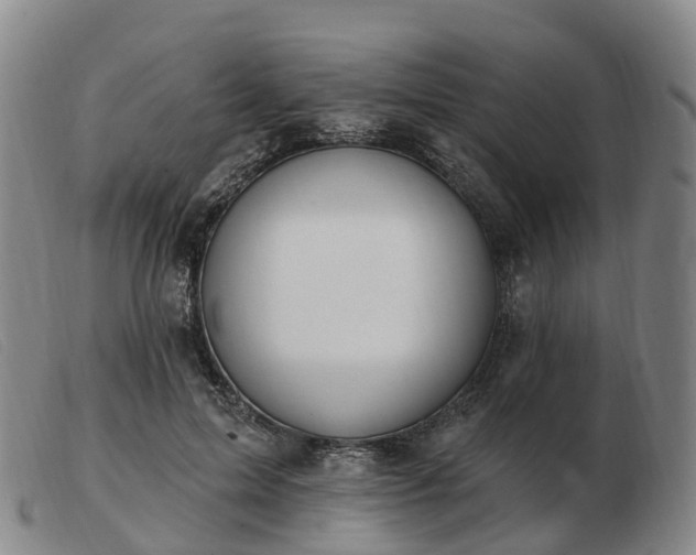 X0000103440599200809191726