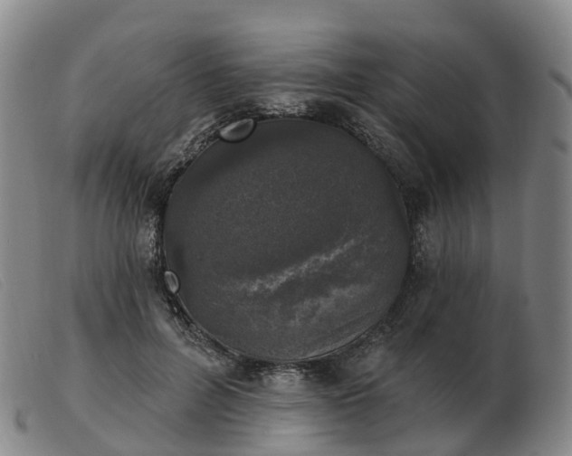 X0000103440600200809191726