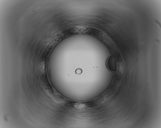 X0000103440602200809191726