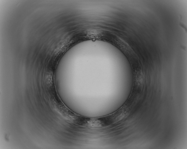 X0000103440603200809191726