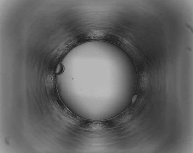 X0000103440604200809191726