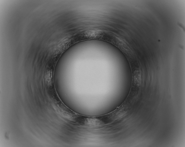 X0000103440605200809191726