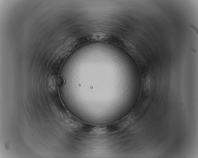 X0000103440606200809191726