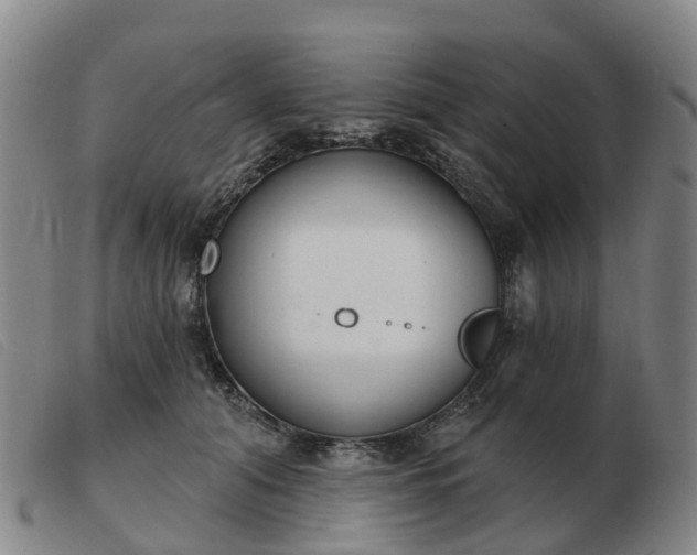 X0000103440608200809191726