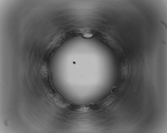 X0000103440609200809191726