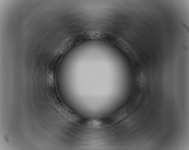 X0000103440610200809191726
