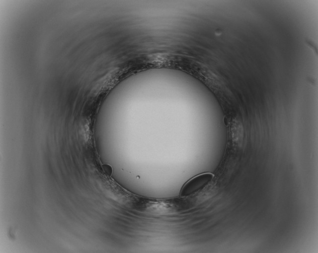 X0000103440611200809191726