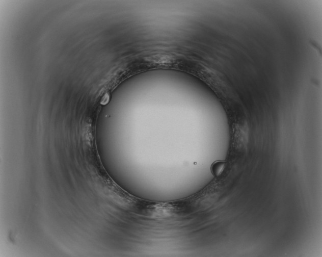 X0000103440612200809191726