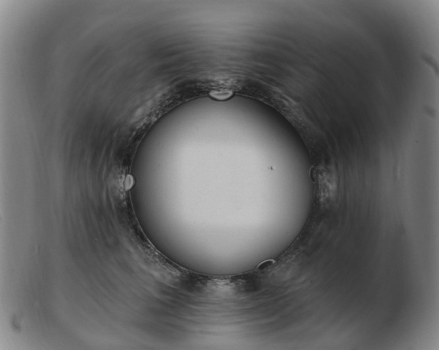 X0000103440613200809191726