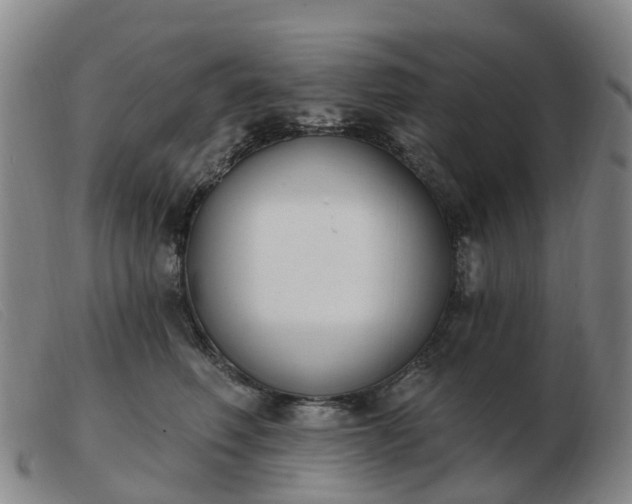 X0000103440614200809191726