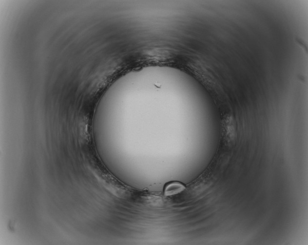 X0000103440615200809191726