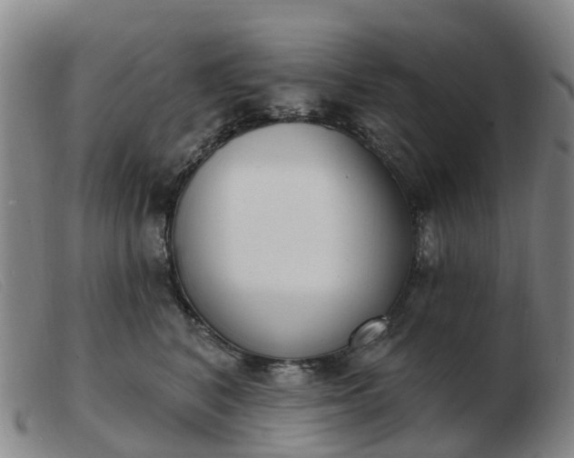 X0000103440616200809191726