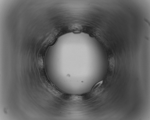 X0000103440617200809191726
