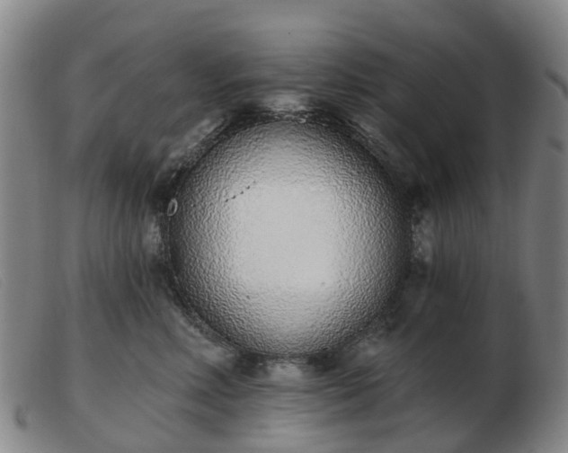 X0000103440618200809191726