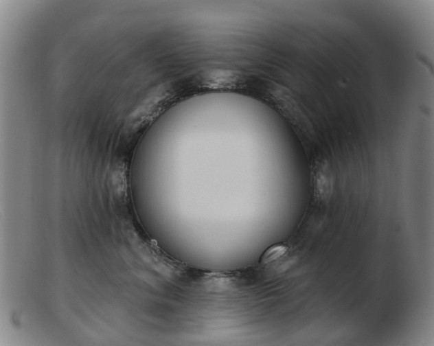 X0000103440620200809191726