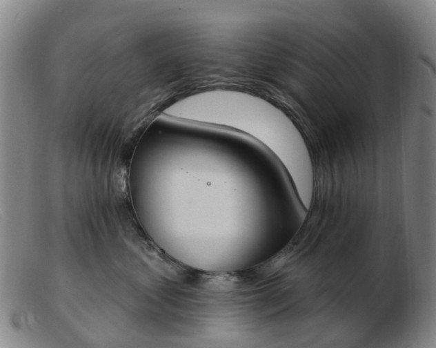 X0000103440621200809191726