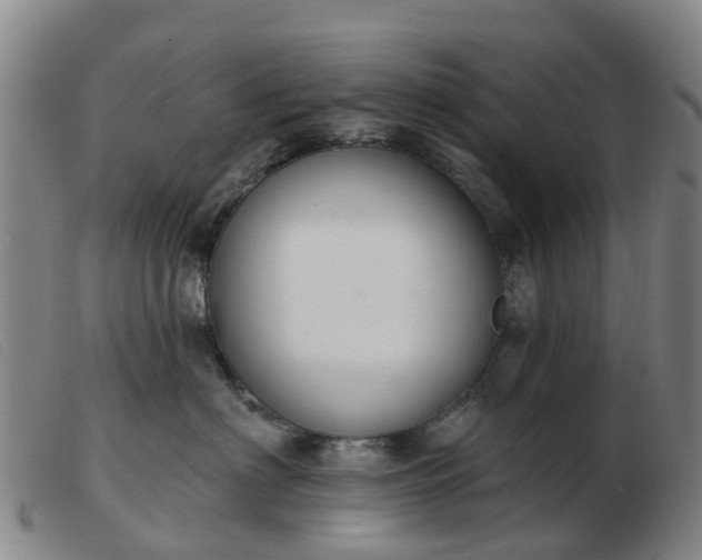 X0000103440622200809191726