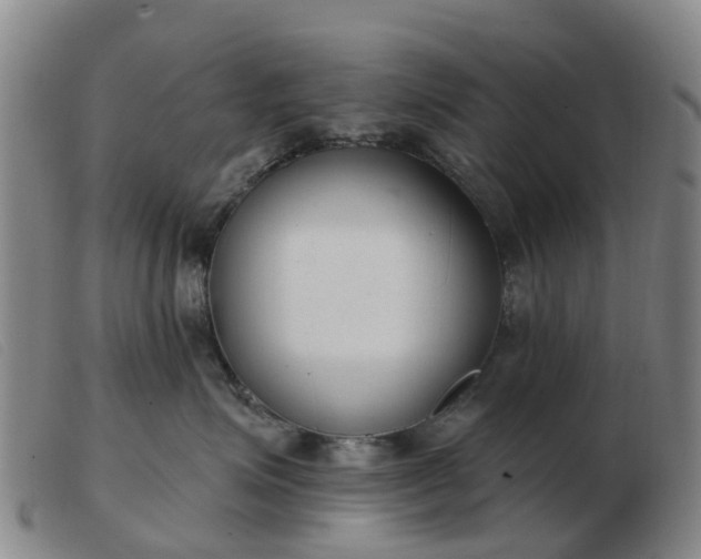 X0000103440623200809191726