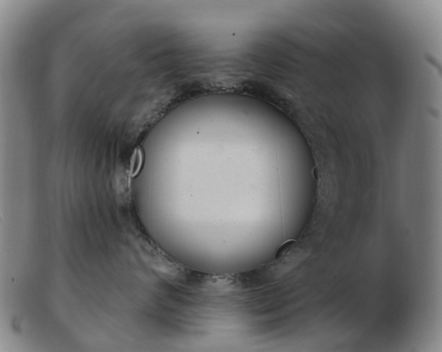 X0000103440624200809191726