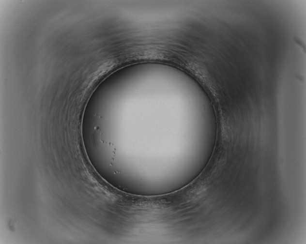 X0000103440625200809191725