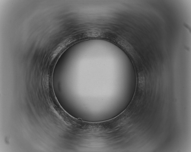 X0000103440626200809191725