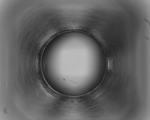 X0000103440627200809191725