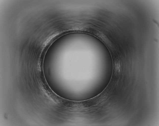 X0000103440628200809191725