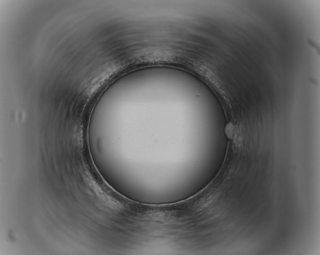 X0000103440629200809191725