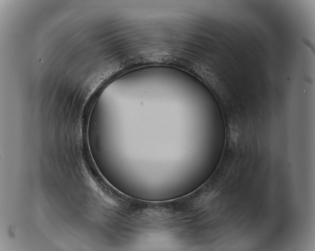 X0000103440630200809191725