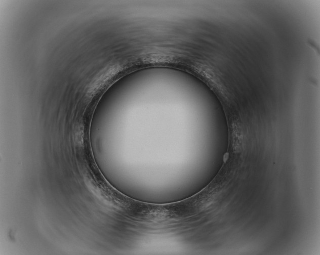 X0000103440631200809191725