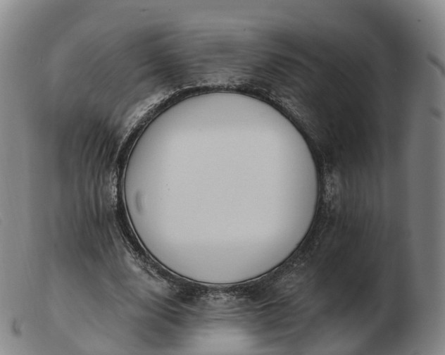 X0000103440632200809191725