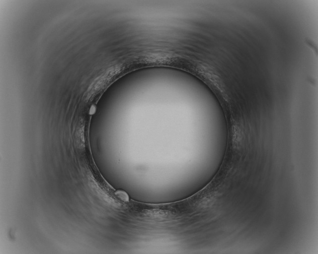 X0000103440633200809191725