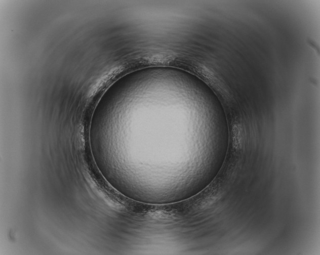 X0000103440634200809191725