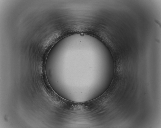 X0000103440635200809191725