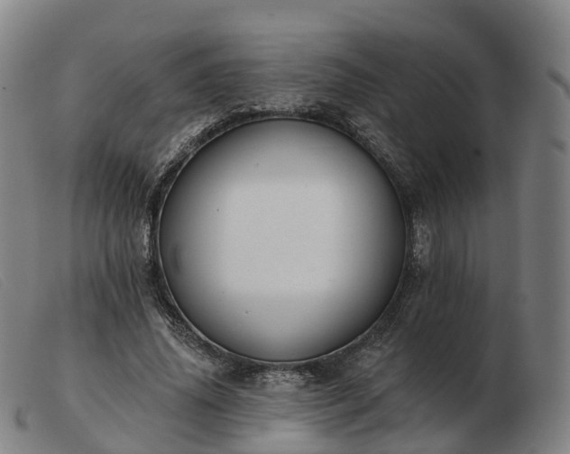 X0000103440636200809191726