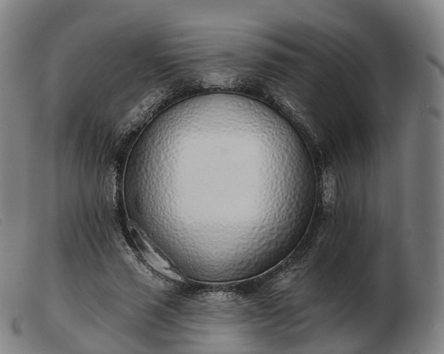 X0000103440637200809191726